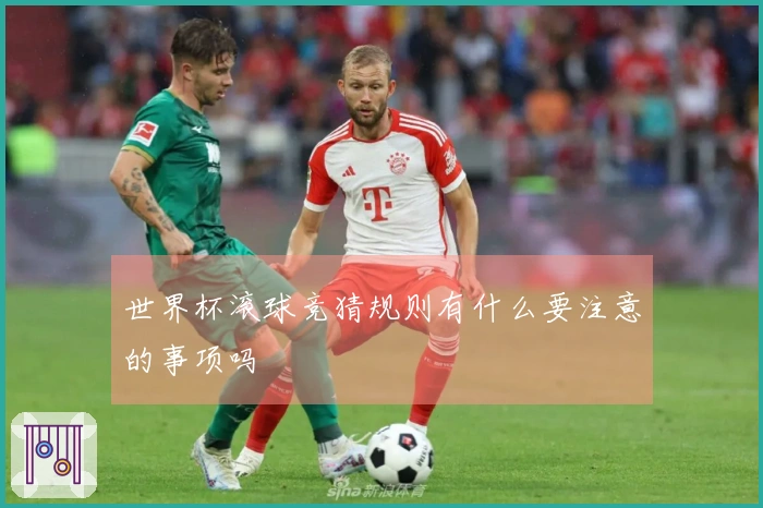 世界杯滚球竞猜规则有什么要注意的事项吗