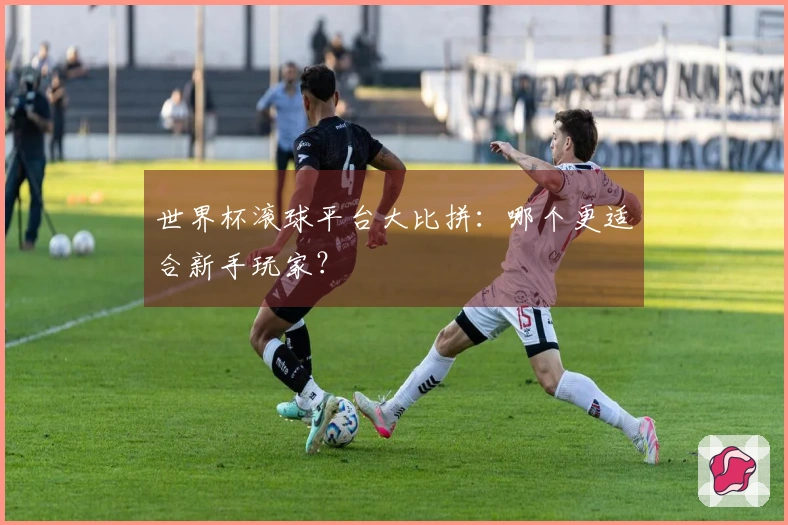 世界杯滚球平台大比拼:哪个更适合新手玩家?