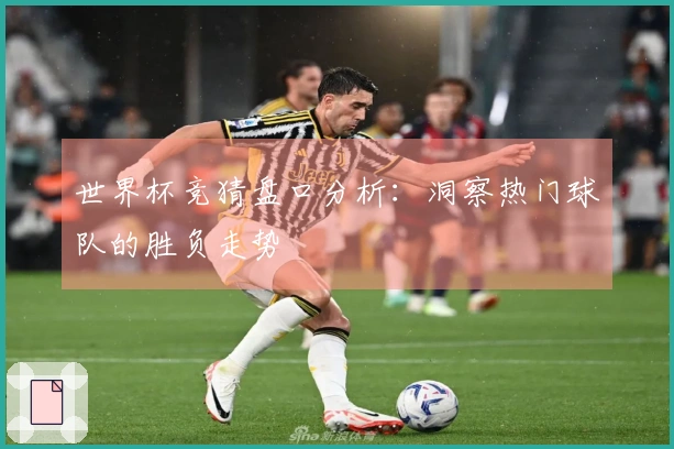 世界杯竞猜盘口分析：洞察热门球队的胜负走势