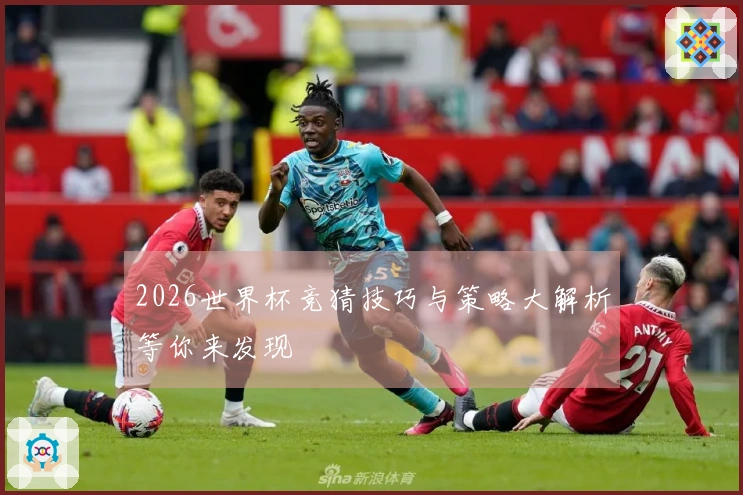 2026世界杯竞猜技巧与策略大解析等你来发现
