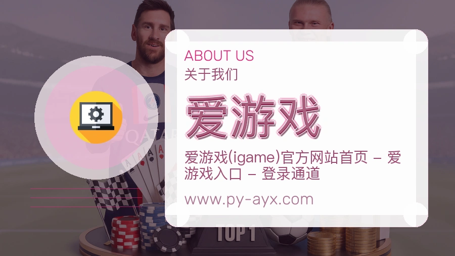 爱游戏体验诚意介绍